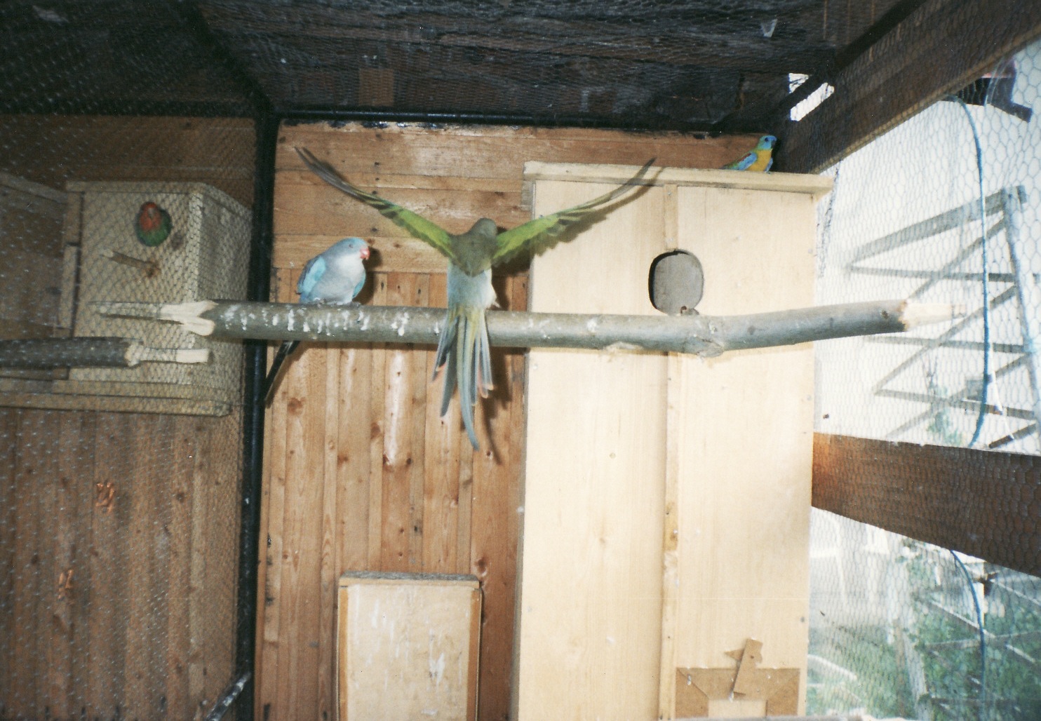 IMG_0008.jpg