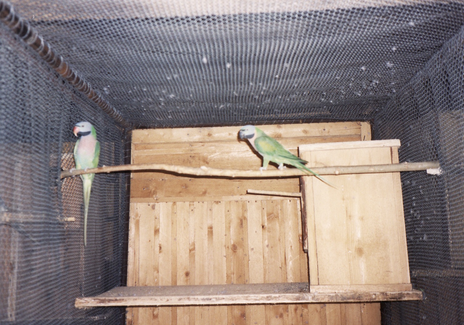 IMG_0002.jpg