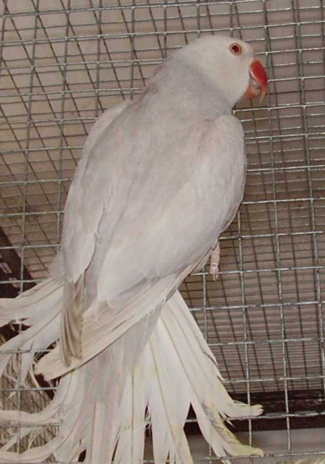 fotky 007.jpg