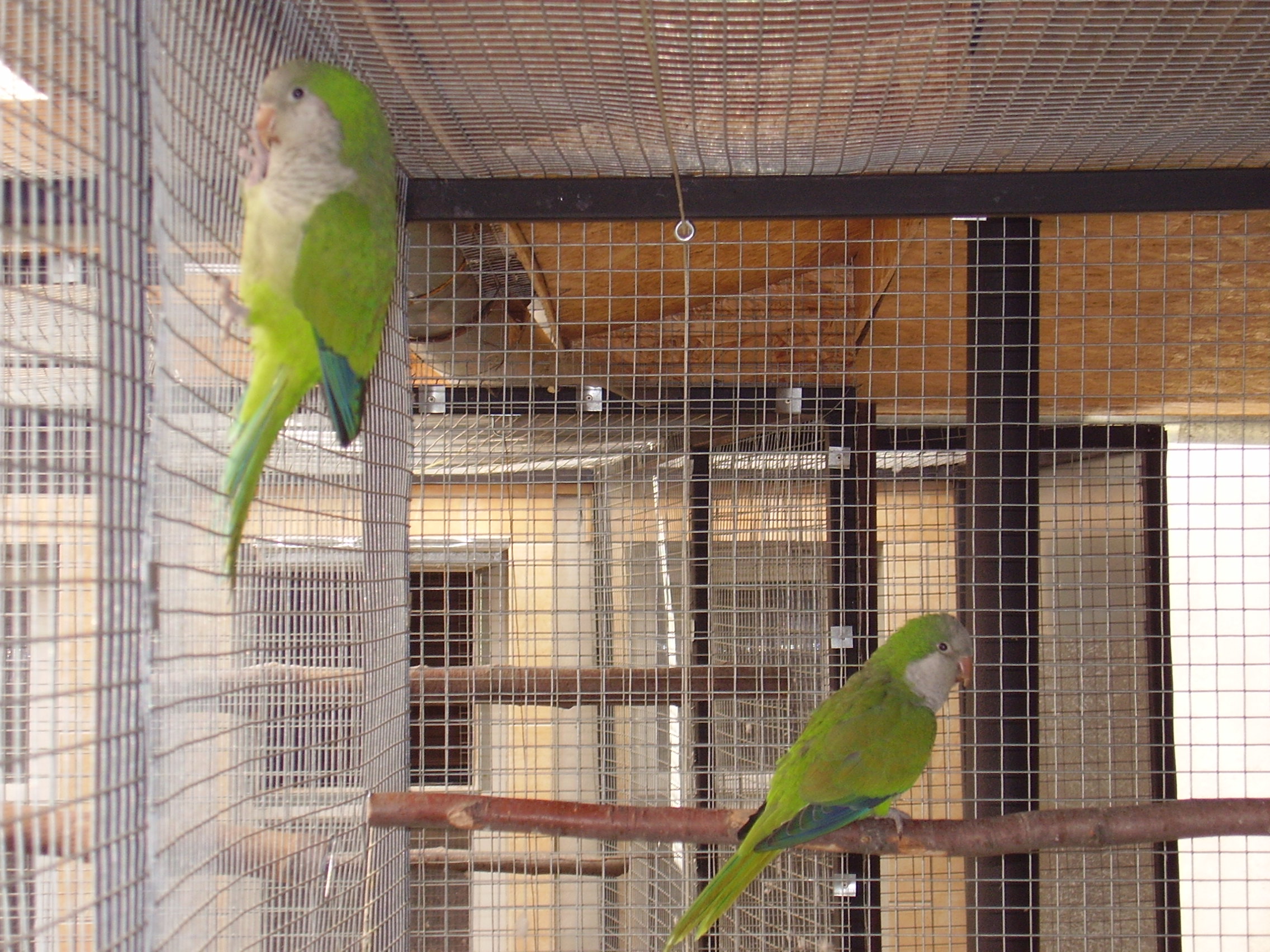 P4250772.JPG