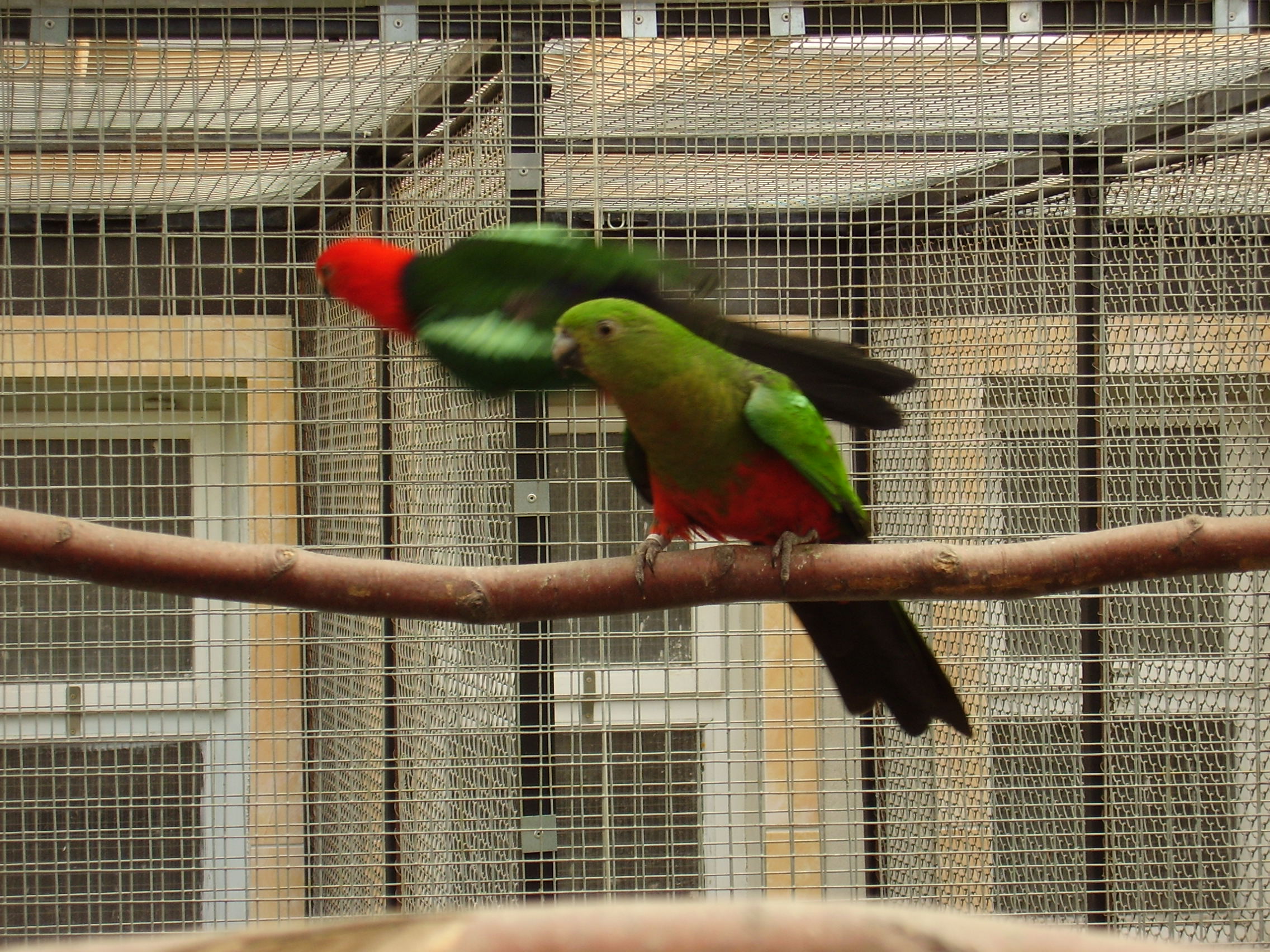 P4250780.JPG